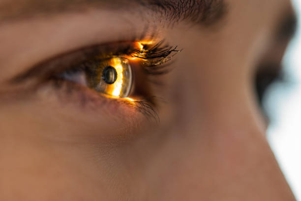 Retina